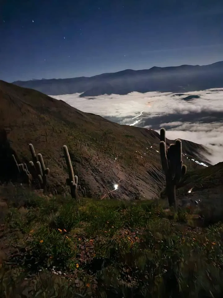 facebook punta corral 2024 (60)