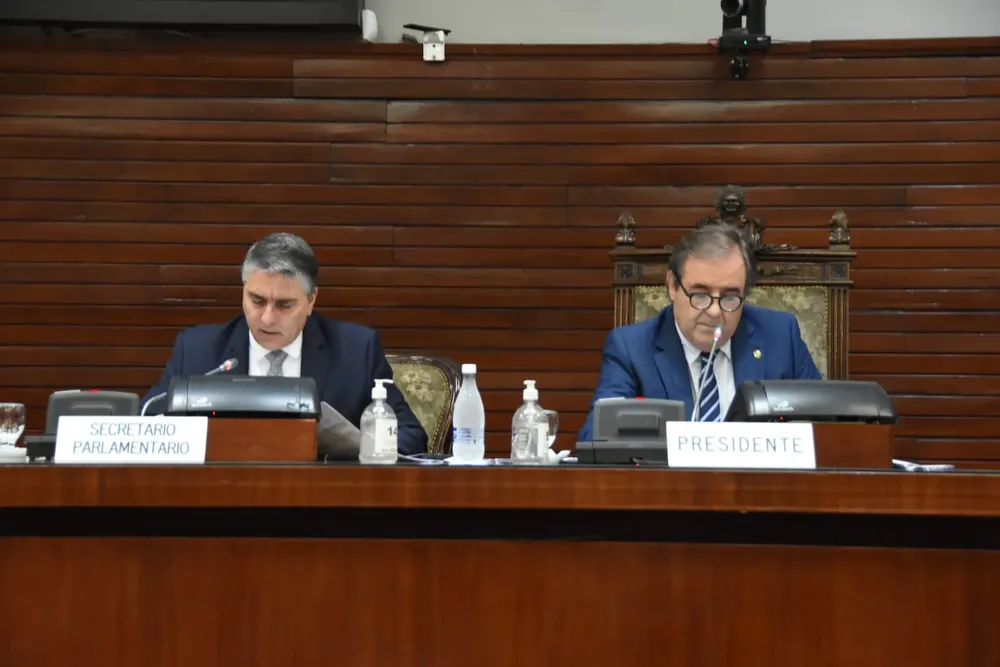 7ma sesion ordinaria legislatura (7)