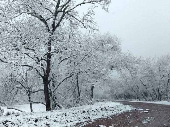 FB_IMG_1623946984716