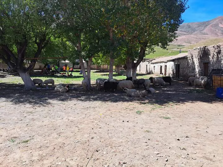 facebook punta corral 2024 (1)