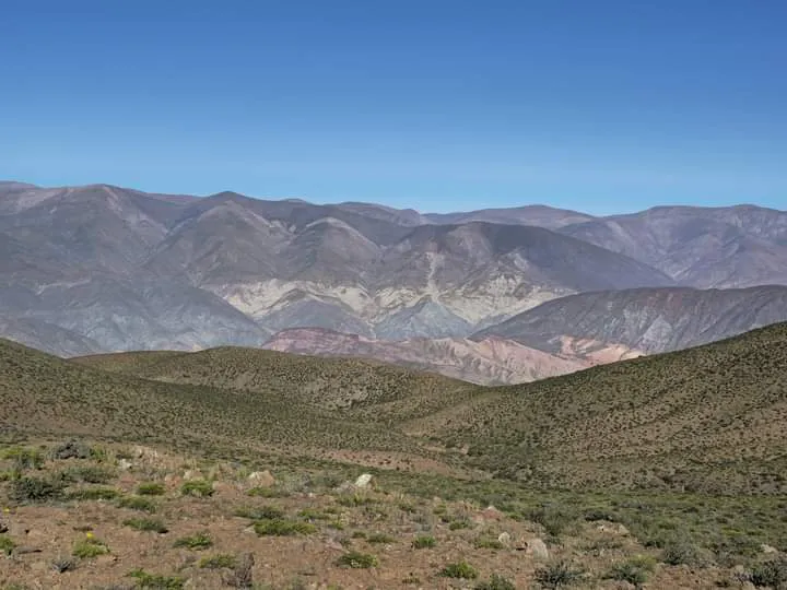 facebook punta corral 2024 (66)