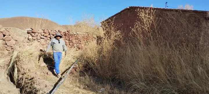 FB_IMG_1721875550188