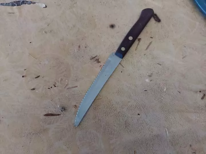 FB_IMG_1673534041075