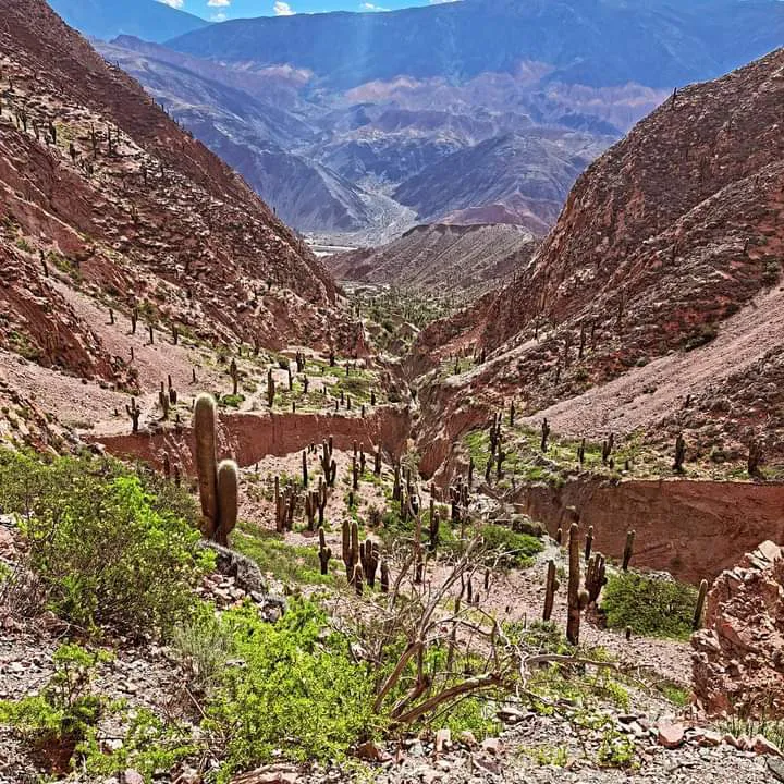 facebook punta corral 2024 (6)