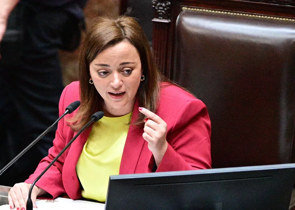 cecilia moreau diputados2