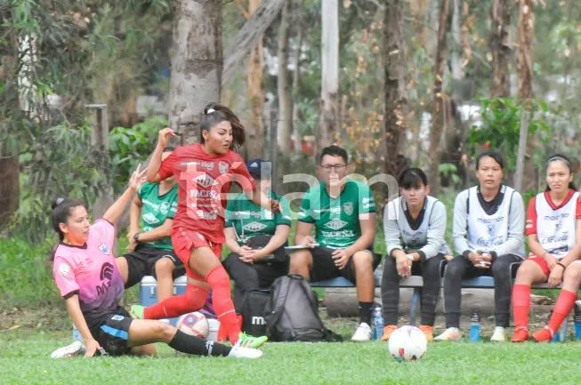 tn_7ce6a55aa82b4e0d6cf57cb9ab2c374f_653x433