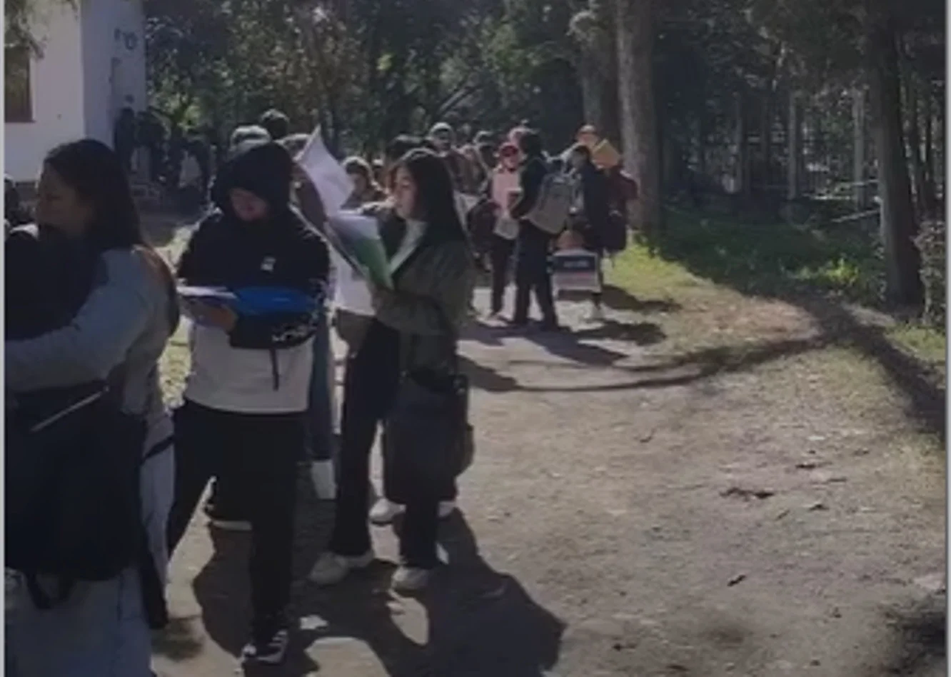 CEDEMS DOCENTES PLAZOS