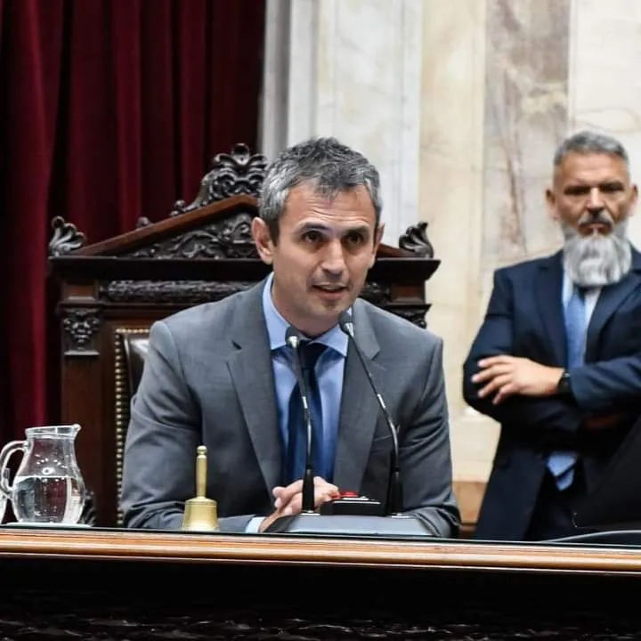 Martin Menem diputado