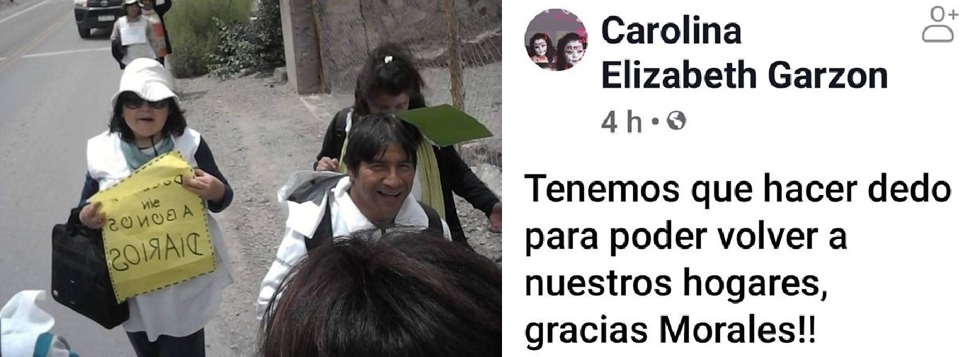 docentes abonos