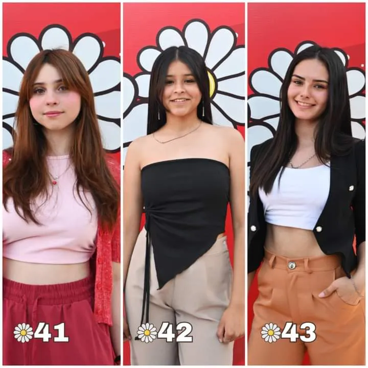 FB_IMG_1725380435346