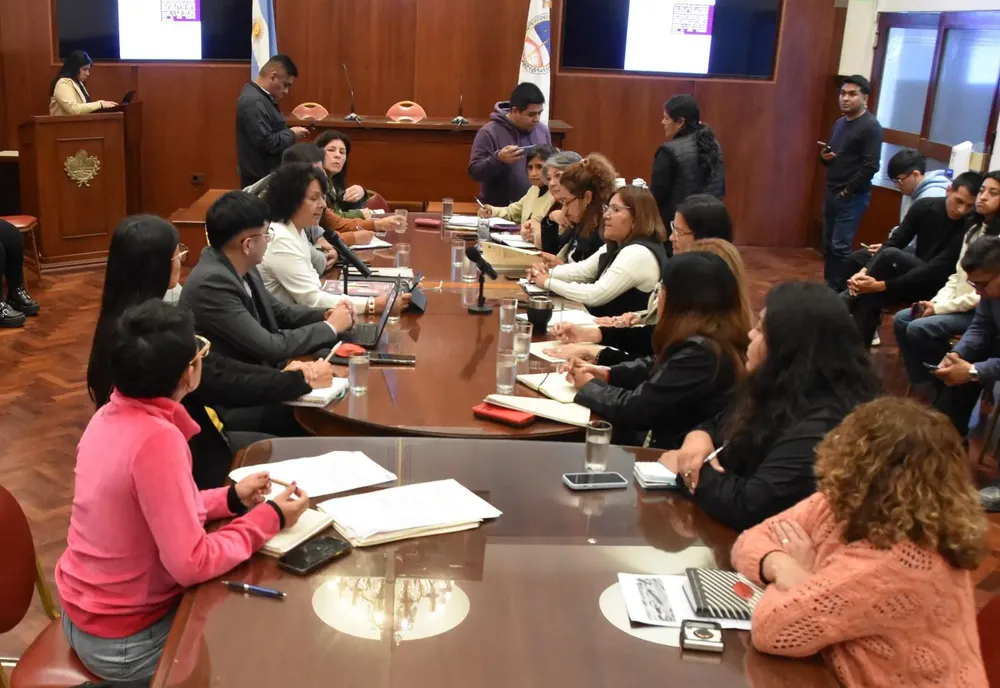 informe consejo provincial mujer legislatura