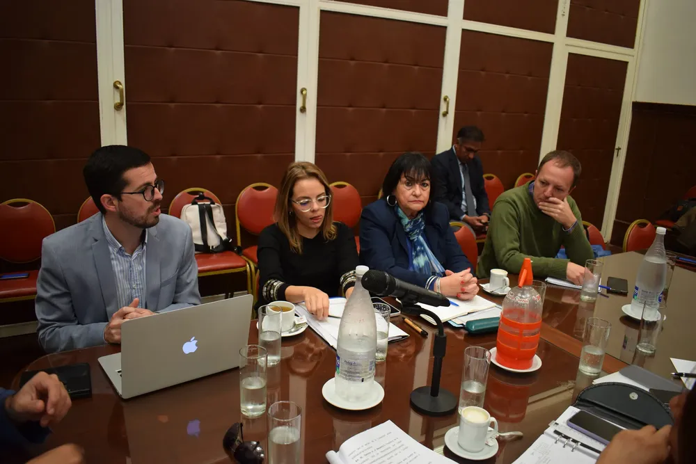 REFORMA CONSTITUCION COMISION (2)