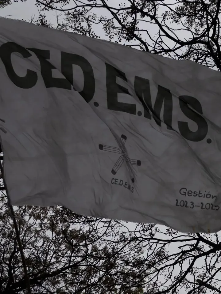 Marcha docentes cedems