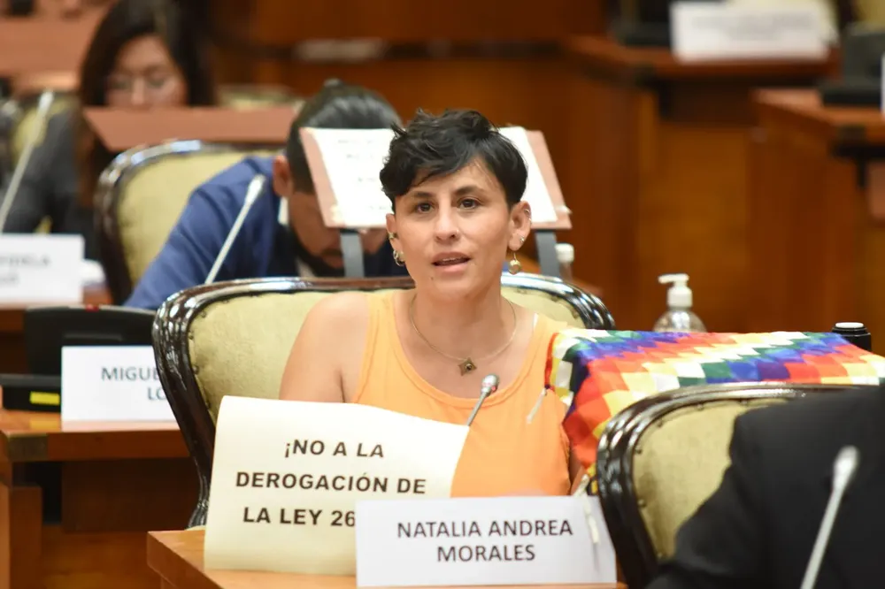 Natalia Morales diputada