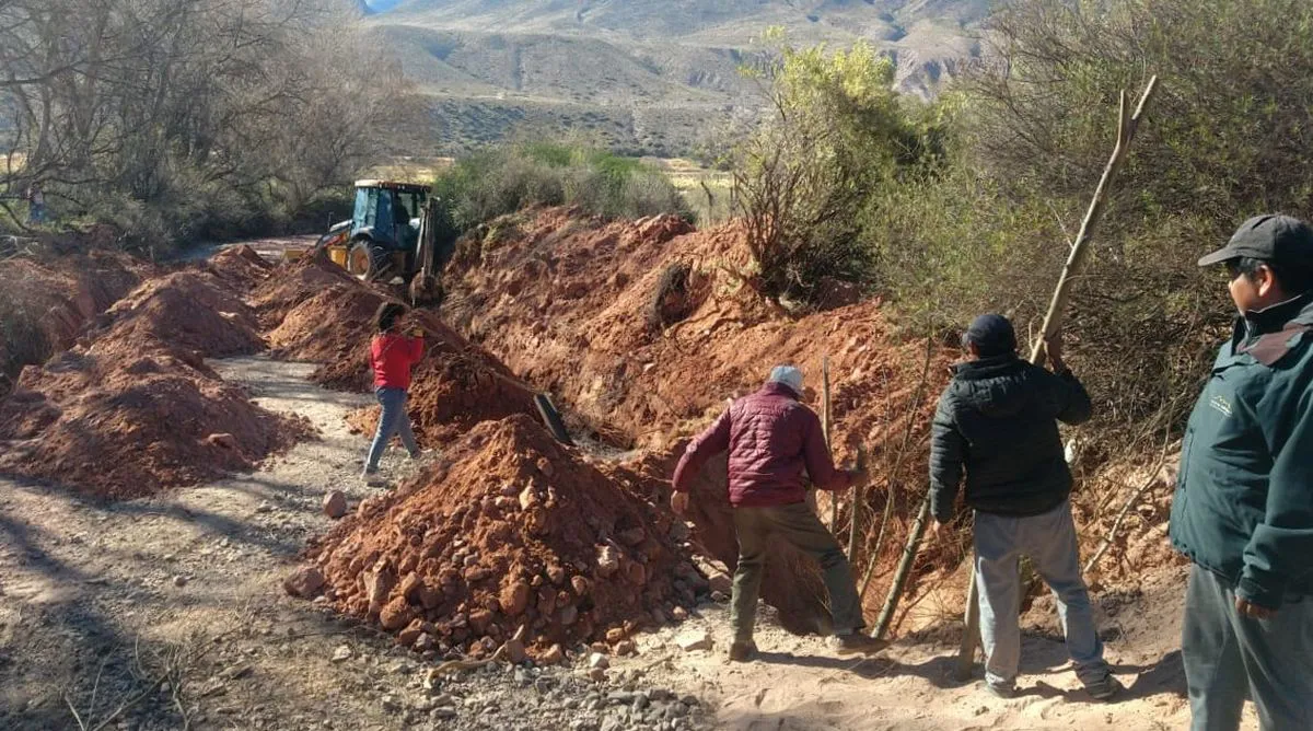 soluciones-basadas-planta-vetiver-3jpeg (1)