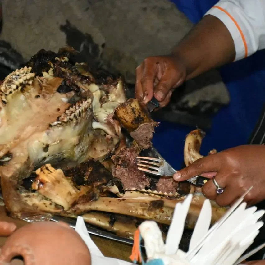 cabeza guateada yala