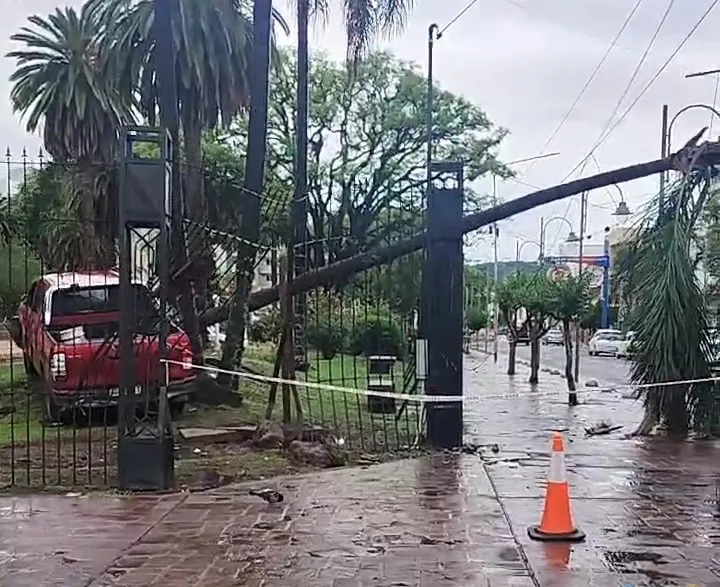 Screenshot_20241103-083844_Facebook