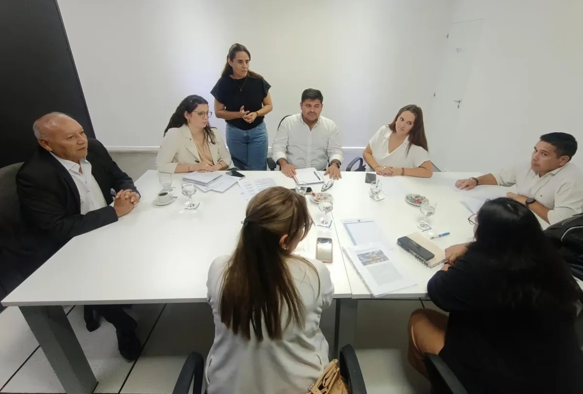 proyecto mateo educacion