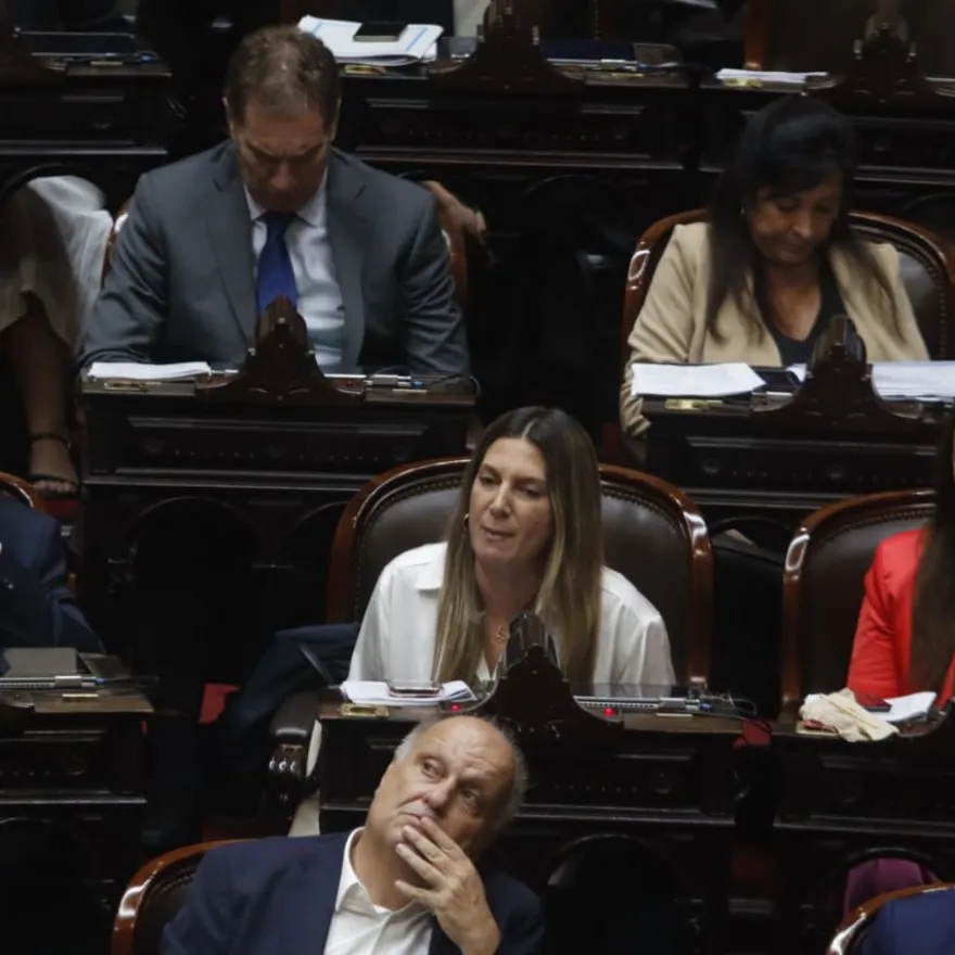 Camara diputados nación Ficha Limpia