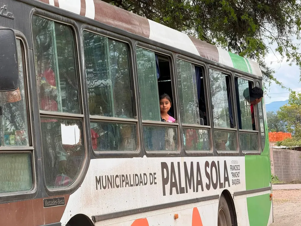 micro palma sola municipalidad