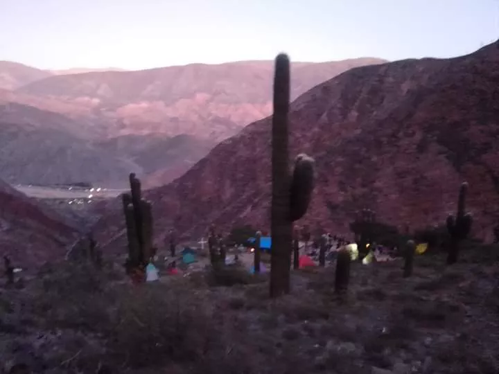 FB_IMG_1680454341406