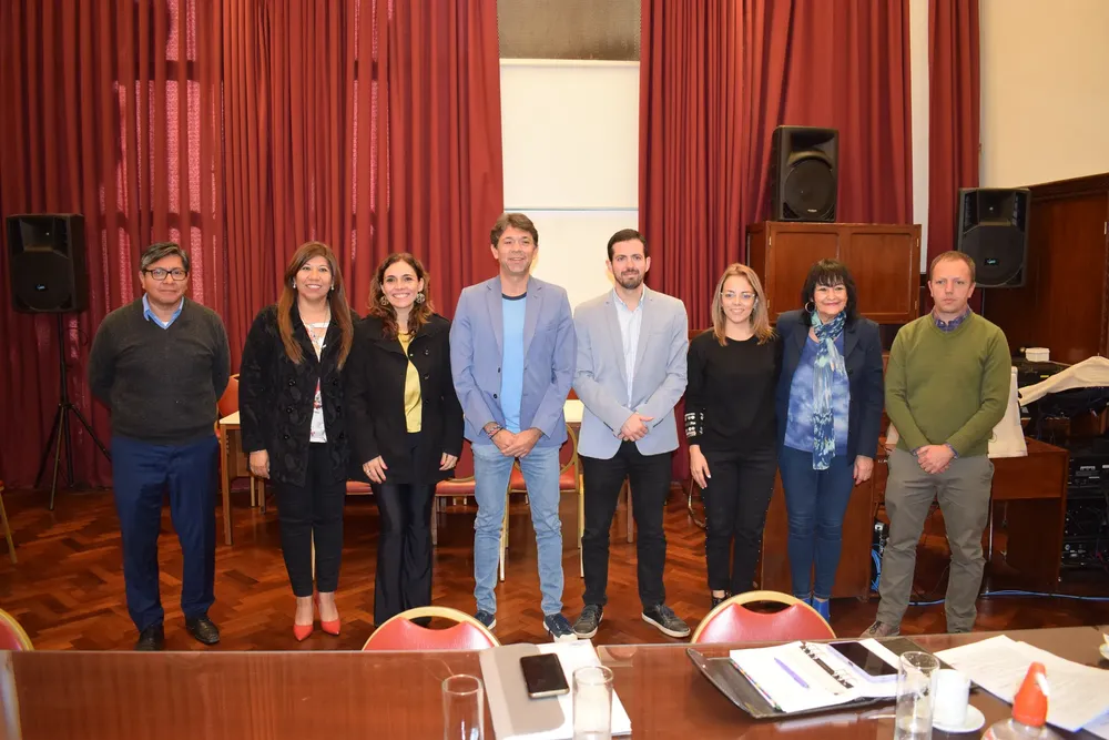 REFORMA CONSTITUCION COMISION (4)