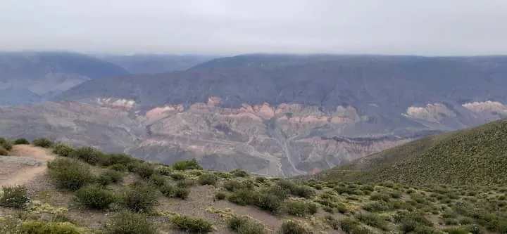 FB_IMG_1711224955083