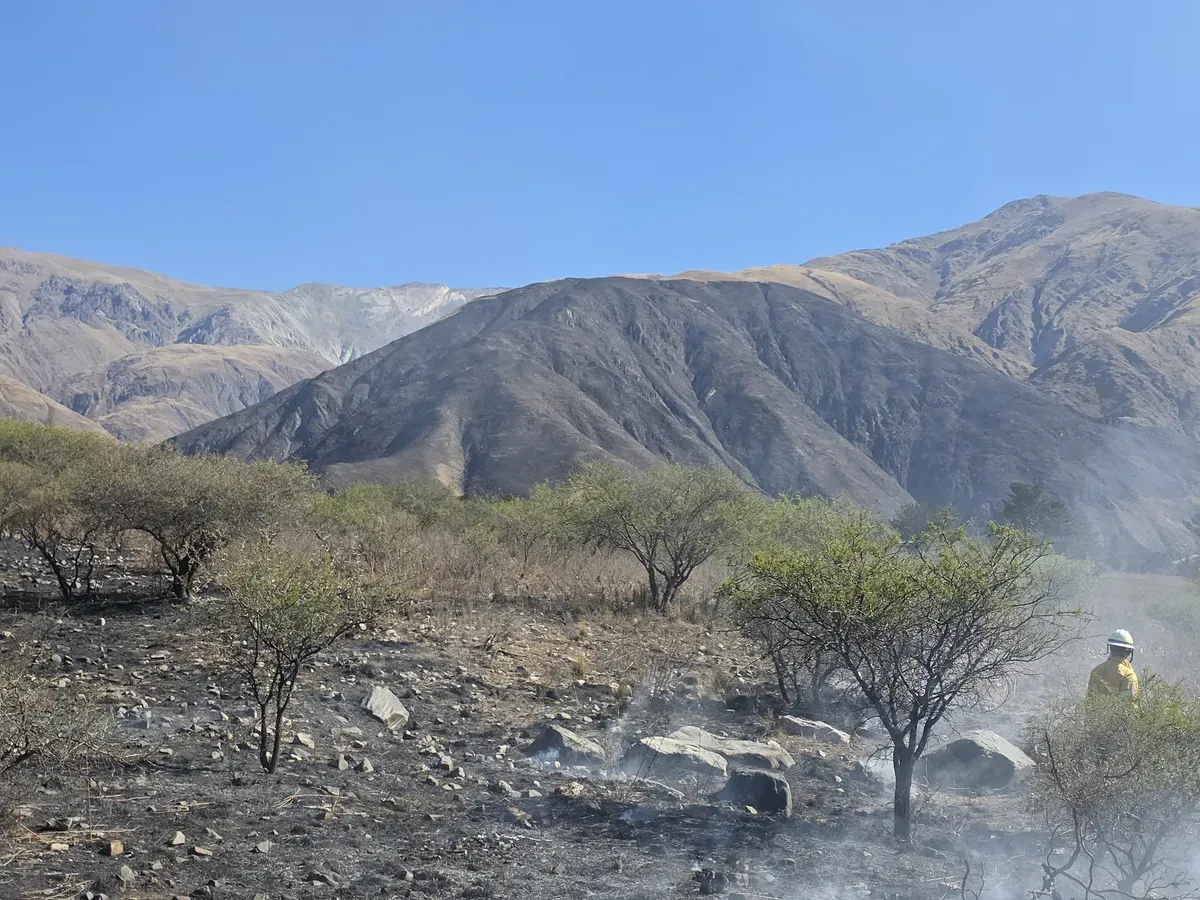 incendio volcan brigadistas1