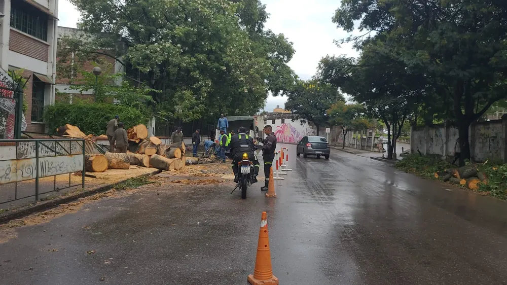 suspenden clases por caida arbol escuela comercio