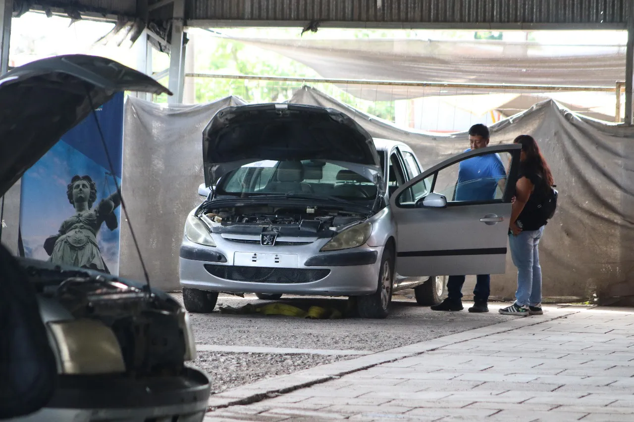 Subasta electrónica MPA1