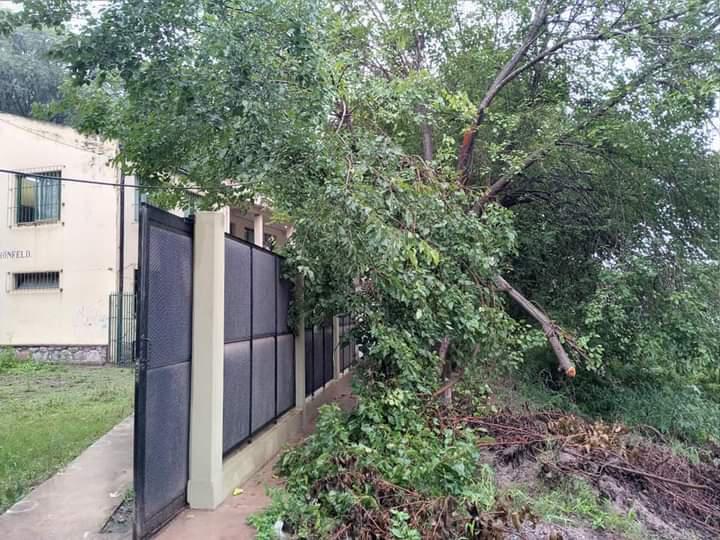 FB_IMG_1613300676121