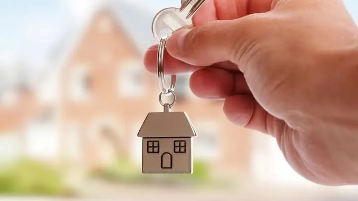 FB_IMG_1736265648796