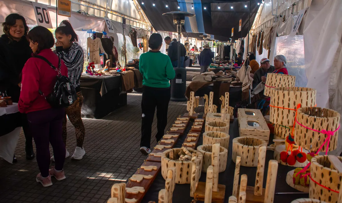 feria provincial de invierno4