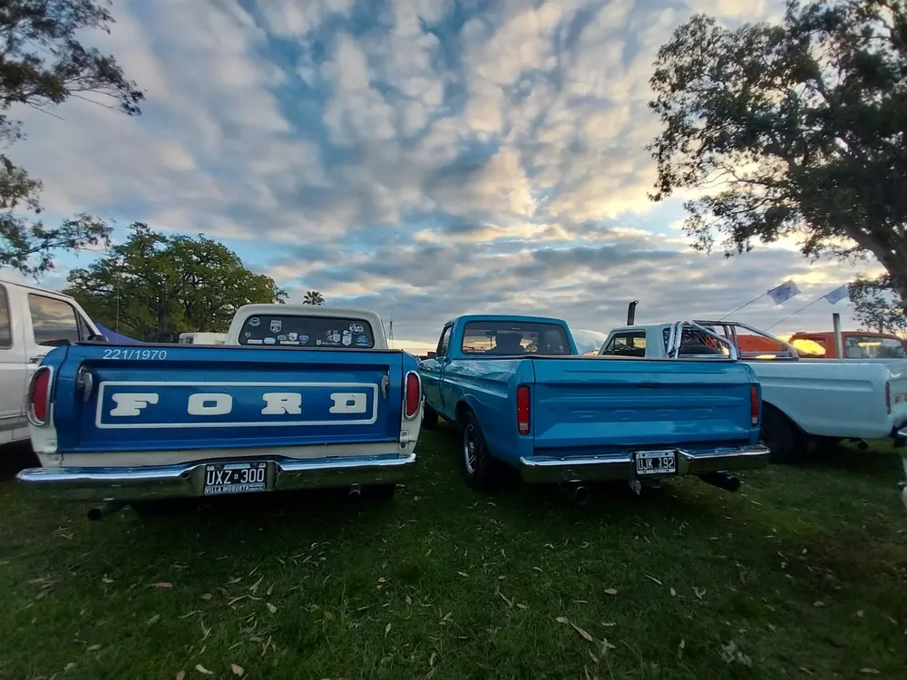PASION FORD 8