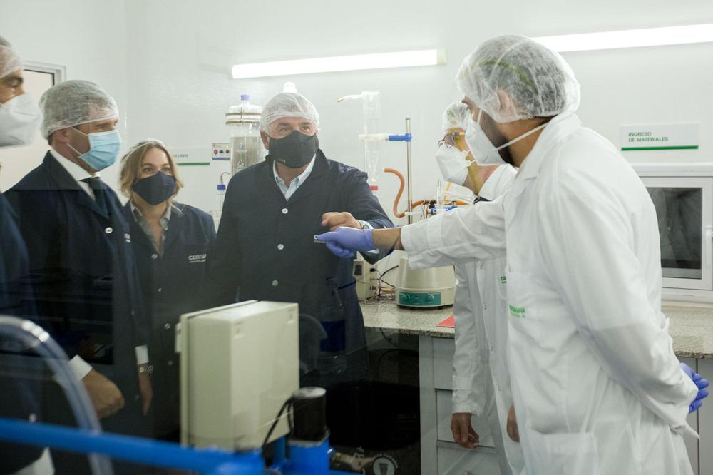 cannava laboratorio8